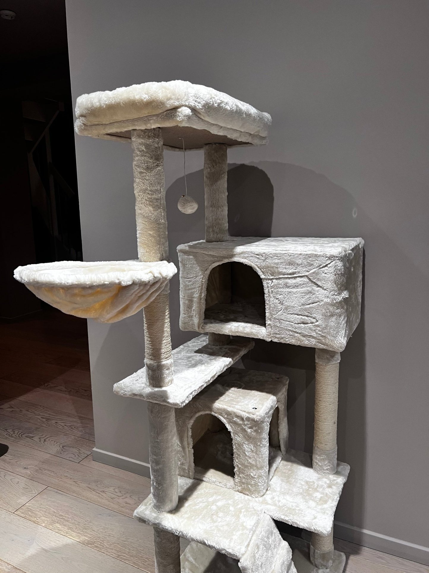 klorestativ - mimsystore - katt