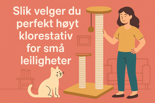 Slik velger du perfekt høyt klorestativ for små leiligheter