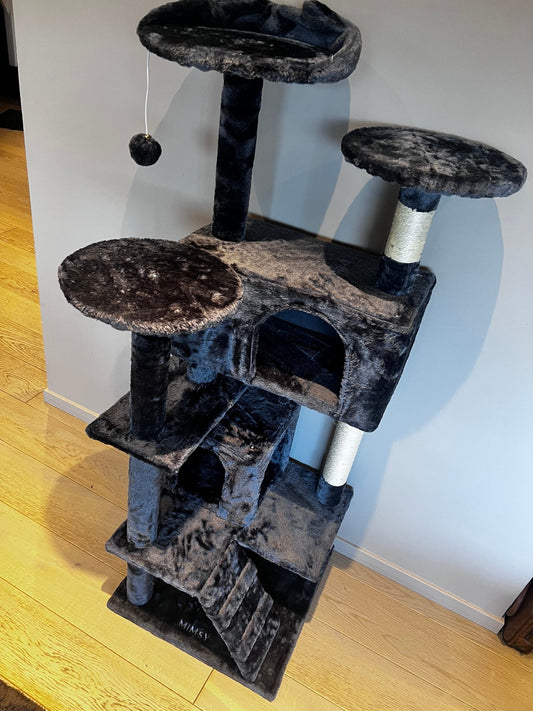 klorestativ - mimsystore - katt