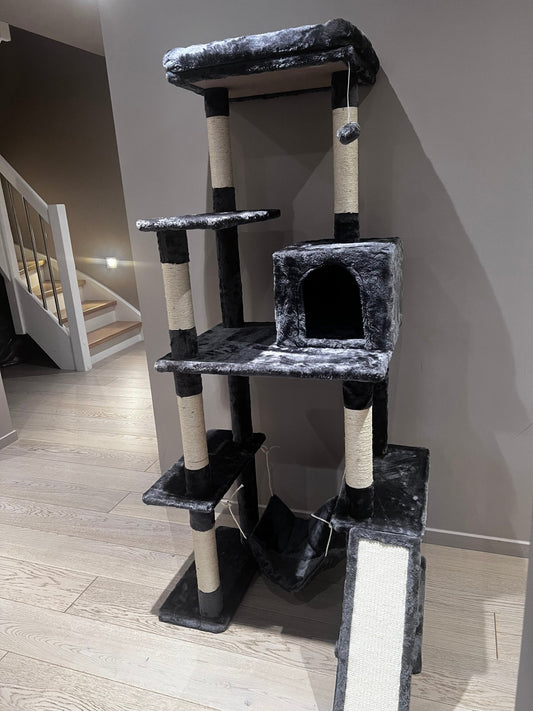 klorestativ - mimsystore - katt