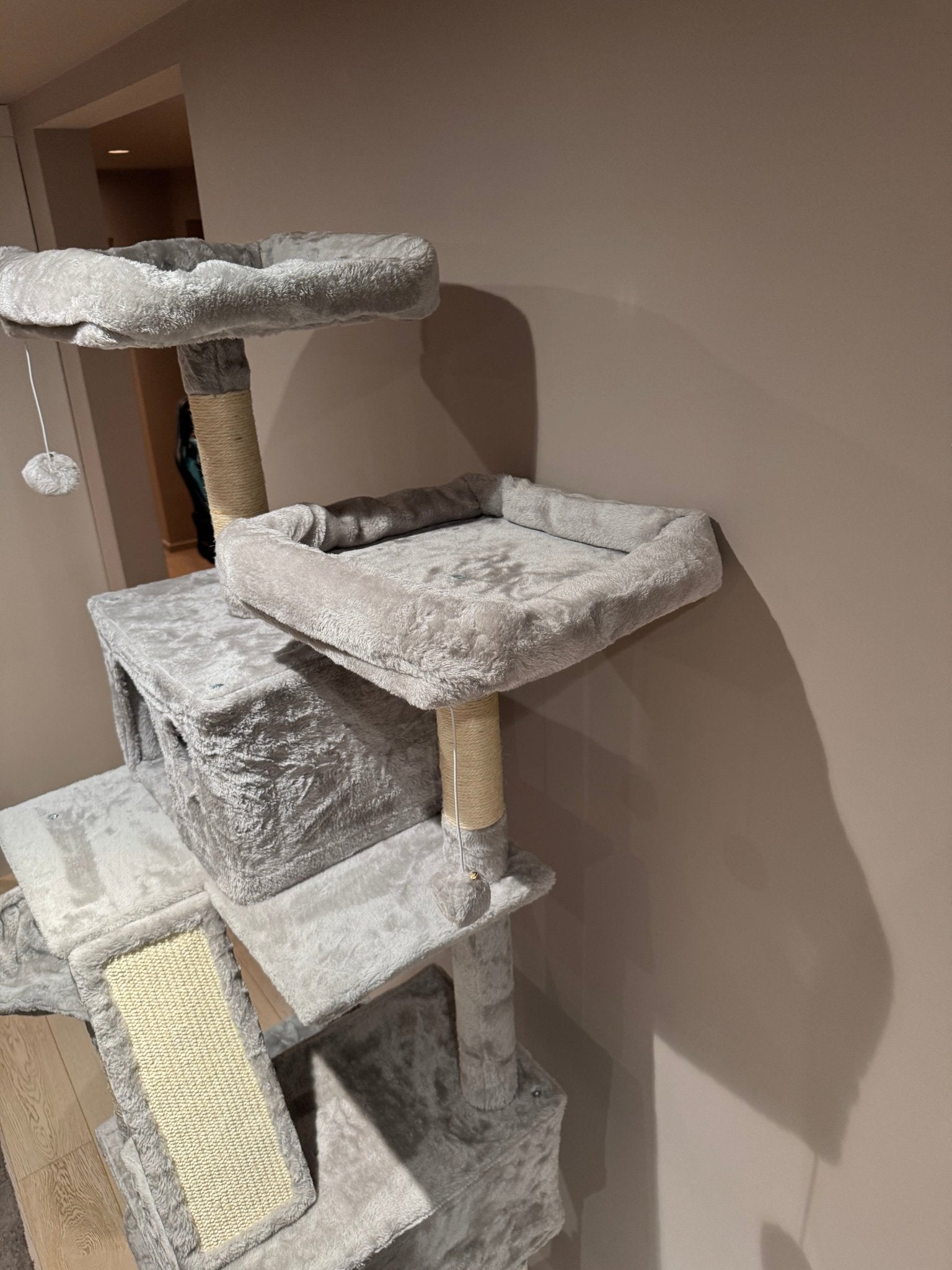 klorestativ - mimsystore - katt